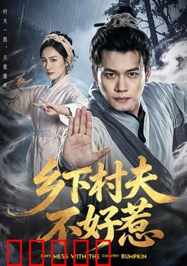 乡下村夫不好惹：隐世高手崛起