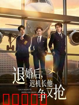 退婚后，迟机长他争又抢：霸道机长追妻路