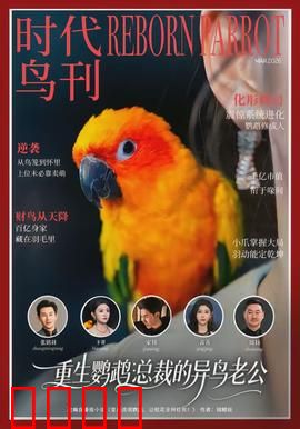 重生鹦鹉：轮回寻主记