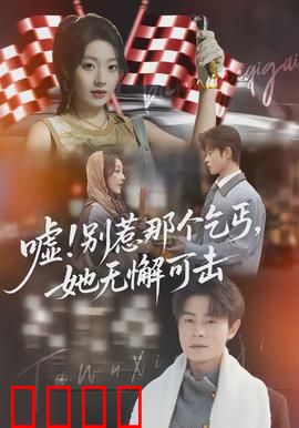 嘘别惹那个乞丐她无懈可击：完美伪装