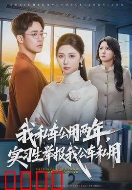 我私车公用两年，实习生举报我公车私用：职场暗战