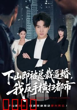 下山即被总裁逼婚，我反手横扫都市：草根崛起记