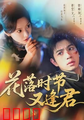 花落时节又逢君：岁月情深