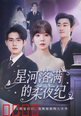 星河落满的柔夜纪：星辰下的秘密