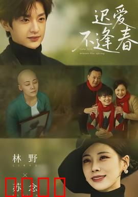 迟爱不逢春：错过一生的爱