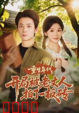 重生年代开局被老丈人拍了一板砖：女婿逆袭之路