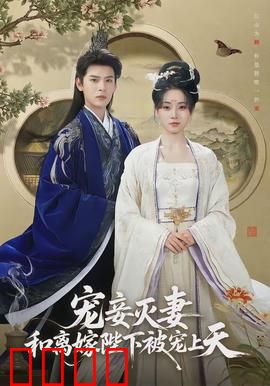 宠妾灭妻，和离嫁陛下被宠上天：逆袭打脸爽文