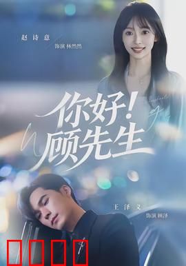 你好！顾先生：总裁爱上小助理