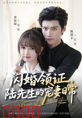 闪婚领证，陆先生的宠妻日常：隐婚甜妻宠上天
