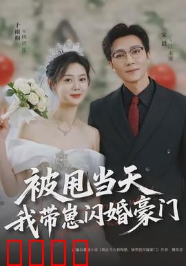 被甩当天我带崽闪婚豪门：闪婚逆袭