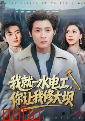 我就一水电工，你让我修大坝：草根逆袭记
