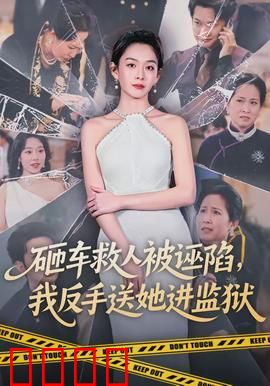 砸车救人被诬陷，我反手送她进监狱：正义绝不迟到