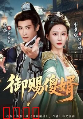 御赐傻婿：傻婿逆袭记