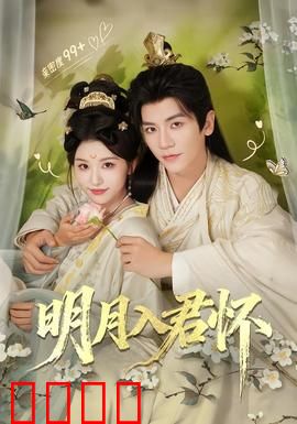 明月入君怀：月下情缘深