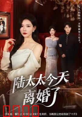陆太太今天离婚了：追妻火葬场