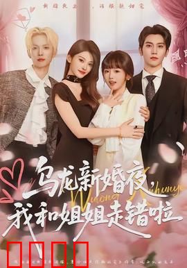 乌龙新婚夜，我和姐姐走错啦：姐妹互换闹洞房