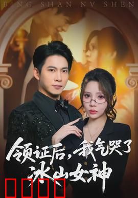 领证后，我气哭了冰山女神：婚后反杀