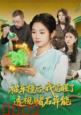 被车撞后，我觉醒了透视赌石异能了：逆袭翡翠王