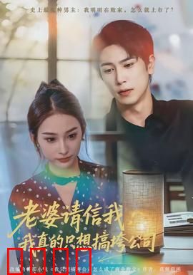 老婆请信我：信任危机圆满解决