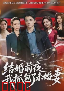 结婚前夜，我抓包了未婚妻：黑暗交易