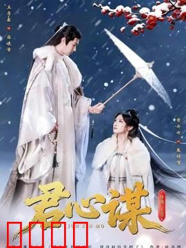 君心谋：权宠甜妻步步惊心