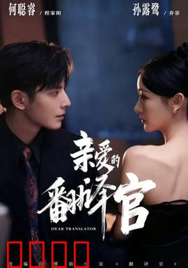 亲爱的翻译官：译路繁花