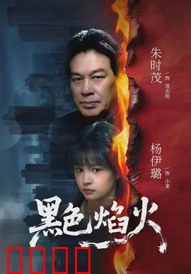 黑色焰火：复仇的代价