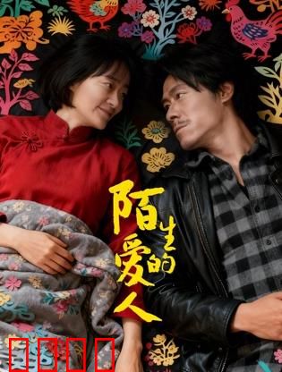 陌生的爱人：面具下的背叛