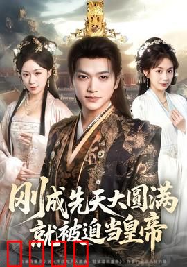 刚成先天大圆满，就被迫当皇帝：武皇之路