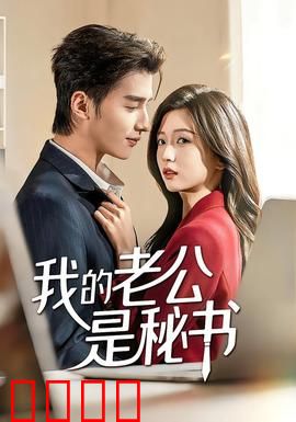 我的老公是秘书：霸道女总裁的贴身秘书