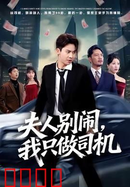 夫人别闹我只做司机：霸道总裁的替身司机
