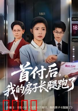 首付后，我的房子长腿跑了：房价幻灭记