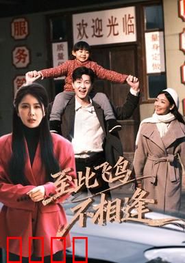到此飞鸟不相逢：错失的约定