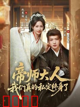 帝师大人我们真的私定终身了：穿越女追夫记