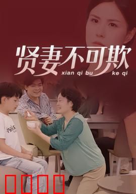 贤妻不可欺：复仇大女主