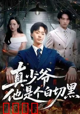 真少爷他是个白切黑：黑化归来的复仇