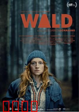 走出丛林：绝境求生志