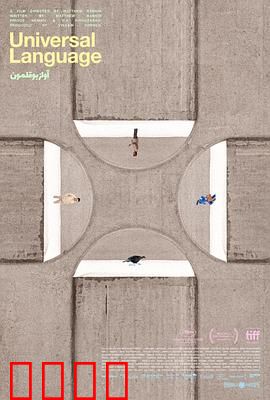 共同的语言：跨越隔阂的微光