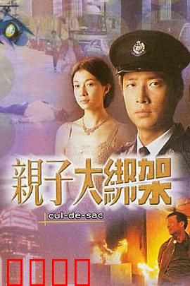 亲子大绑架粤语：笑中带泪的父爱