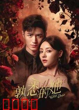 熟悉的她：记忆迷局