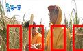 台湾第一等：宝岛奇遇记