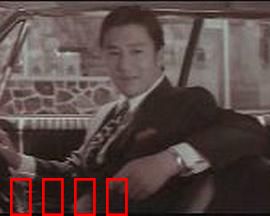 青春恋歌：暗恋与成长