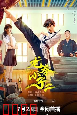龙拳小子2：功夫传承