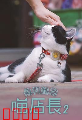 他和她的喵店长2：萌猫治愈人生
