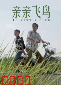亲亲飞鸟：治愈系之恋