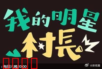我的明星村长：下乡变形记
