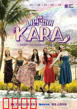 只有没有我，KARA：消失的真相