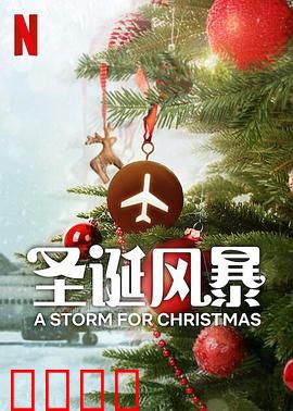 圣诞风暴：风雪中的救赎