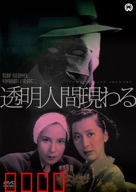 透明人出现了：隐形盗贼的覆灭