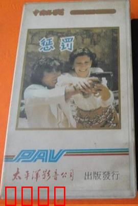 惩罚1980：绝望救赎